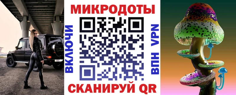 Галлюциногенные грибы Psilocybe  Купить где  Томари 